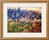 Buy Olivares y Vinedos at AllPosters.com