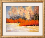 Bright Winter Day
