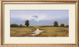 Buy Evening on a Marsh at AllPosters.com