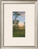 Buy Tropical Serenity II at AllPosters.com