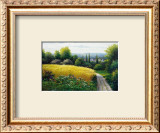 Buy Corn Field at AllPosters.com