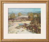 Buy Desert Magic at AllPosters.com