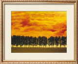 Buy Afterglow I at AllPosters.com