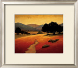 Santa Ynez I