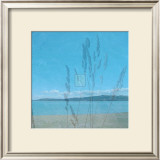 Buy Secret Cove I at AllPosters.com
