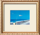 Buy Wings in the Bleu IV at AllPosters.com