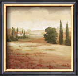 Buy Poppy Fields II at AllPosters.com