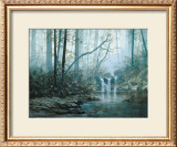 Buy Transcending Forest at AllPosters.com