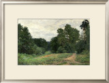 Buy The Green May at AllPosters.com