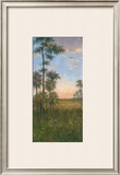 Tropical Serenity II