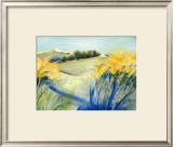 Buy Nice Valley to Play In at AllPosters.com