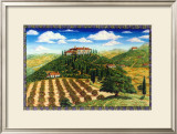Wine Vinyard Estates