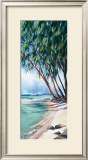 Buy Shady Palm at AllPosters.com