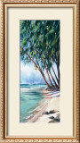 Buy Shady Palm at AllPosters.com