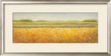 Buy View at AllPosters.com