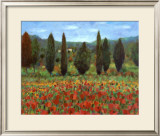 Buy Poppies at AllPosters.com