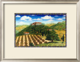 Wine Vinyard Estates