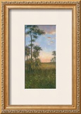 Buy Tropical Serenity II at AllPosters.com