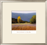 Buy Coline Bleue at AllPosters.com