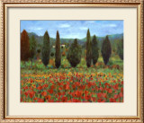 Buy Poppies at AllPosters.com