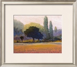 Buy Campana at AllPosters.com