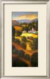 Tuscan Landscape IV