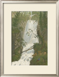 Tranquil Cascade I