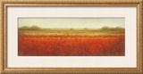 Buy Field of Poppies at AllPosters.com