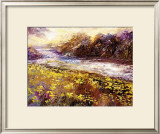 Buy Contraluz at AllPosters.com