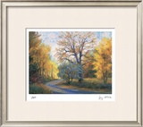 Autumn Road