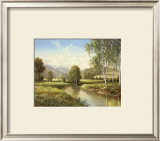 Buy Quiet Pond at AllPosters.com