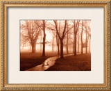 Buy Near Trinity Gate, Cambridge at AllPosters.com