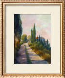 Buy Santa Lucia at AllPosters.com