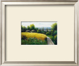 Buy Corn Field at AllPosters.com