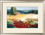 Felder im Sommer I