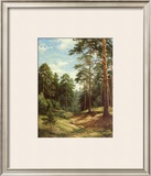 Buy Untouched Nature at AllPosters.com
