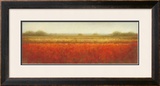 Buy Field of Poppies at AllPosters.com
