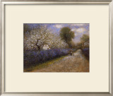 Buy Blosson Lane at AllPosters.com