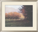Buy Montlake Hedge at AllPosters.com