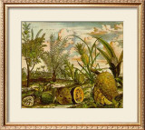 Buy Tropical Fruits I at AllPosters.com