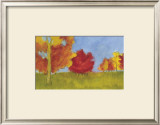 Summer's Fall I
