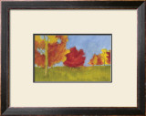 Summer's Fall I
