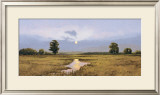 Buy Evening on a Marsh at AllPosters.com