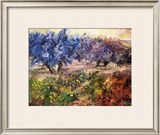 Buy Olivares y Vinedos at AllPosters.com