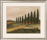 Buy Shady Tuscan Road at AllPosters.com