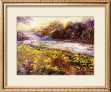 Buy Contraluz at AllPosters.com