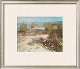 Buy Desert Magic at AllPosters.com