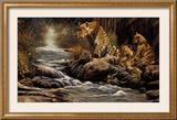 Buy Watchful Eye at AllPosters.com