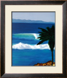 Tropical Breeze