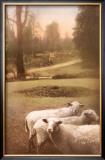 Ruthie's Sheep Framed Art Print